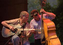 Manzanita at RockyGrass