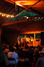 Dusk in the Wildflower Pavilion